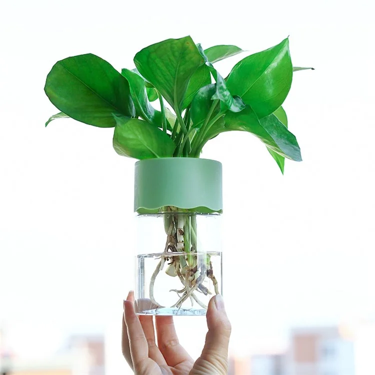 Pantalización Hidroponica Desktop Flowerpot Plástica Estación de Propagación de Mesa Transparente Para Mesa en Casa Mesa de Oficina en Casa - Blanco