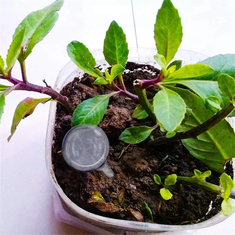 Automatic Plant Water Irrigation Tool Ball Shaped Self Watering Device for Home Vacation Plant Watering, Size: L - Blue