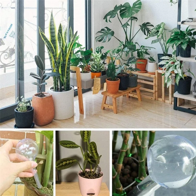Dispositif d'arrosage automatique en forme de boule, outil d'irrigation des plantes à domicile pour les vacances, Taille : S - Vert