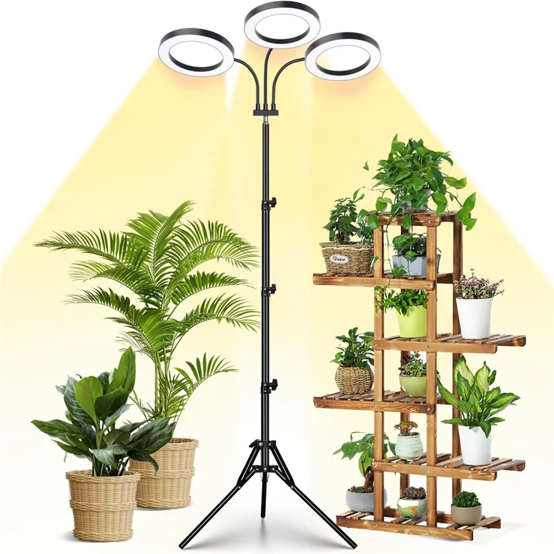 6 Inch Ring Grow Light 3 Head Adjustable Tripod Stand LED Lamp for Indoor Plants Succulents - EU Plug