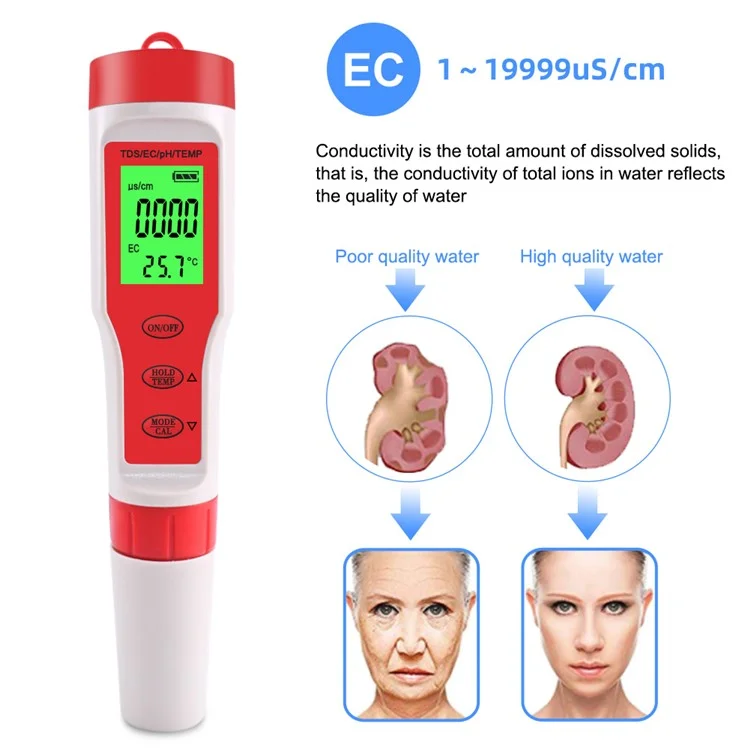 Misuratore Multiuso 4 in 1 per pH / EC / TDS / Temperatura Portatile Tester Digitale per la Qualità dell'Acqua con Retroilluminazione (senza Batterie)