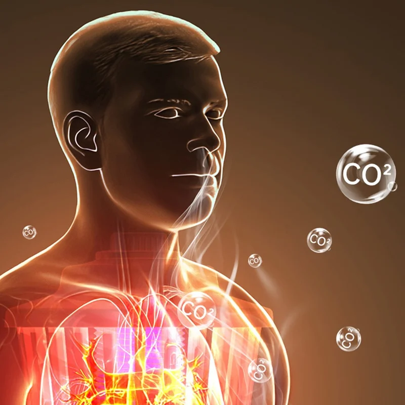 Lampe anti-moustiques M12 sur fiche 360°, 3000 V, tueur d'insectes électrique pour intérieur et extérieur - Gris