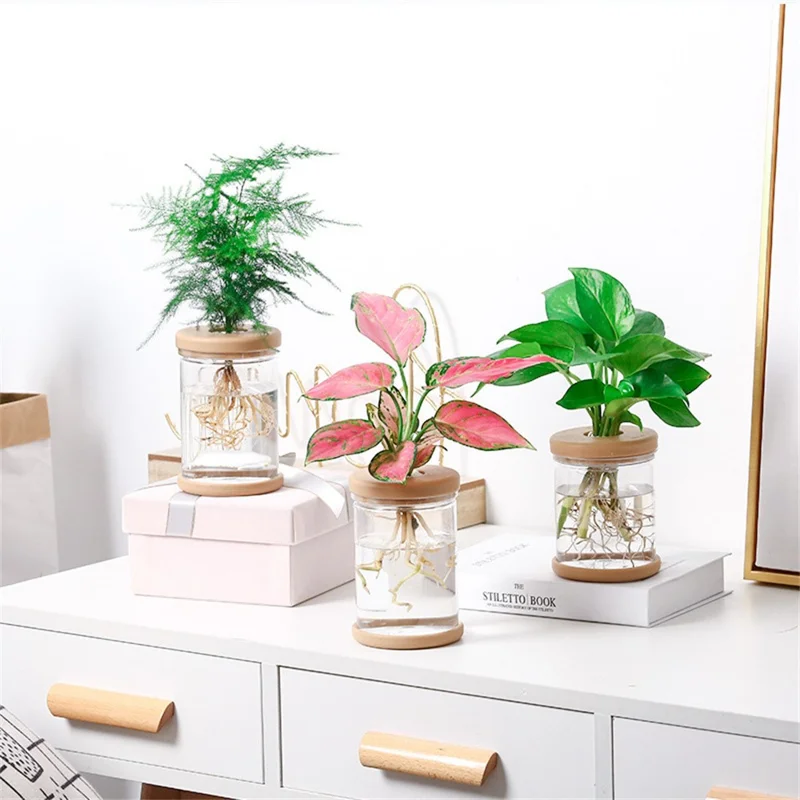 83# Clear Hydroponic Plant Vase PET Transparent Water Cultivation Bottle with Soft Cork for Plant Flower Fish