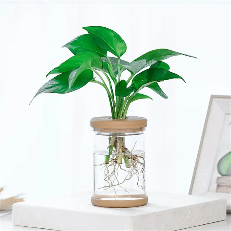 83# Clear Hydroponic Plant Vase PET Transparent Water Cultivation Bottle with Soft Cork for Plant Flower Fish