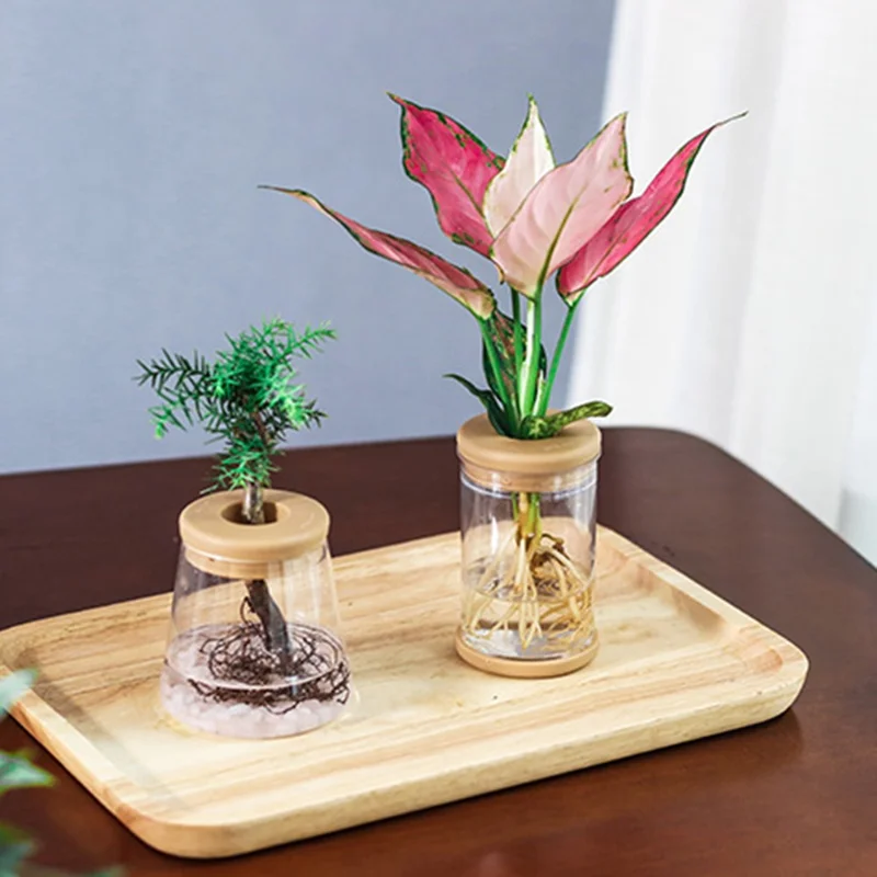 83# Clear Hydroponic Plant Vase PET Transparent Water Cultivation Bottle with Soft Cork for Plant Flower Fish