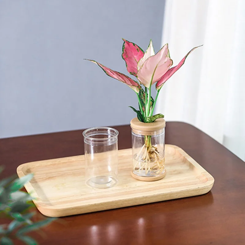 83# Clear Hydroponic Plant Vase PET Transparent Water Cultivation Bottle with Soft Cork for Plant Flower Fish