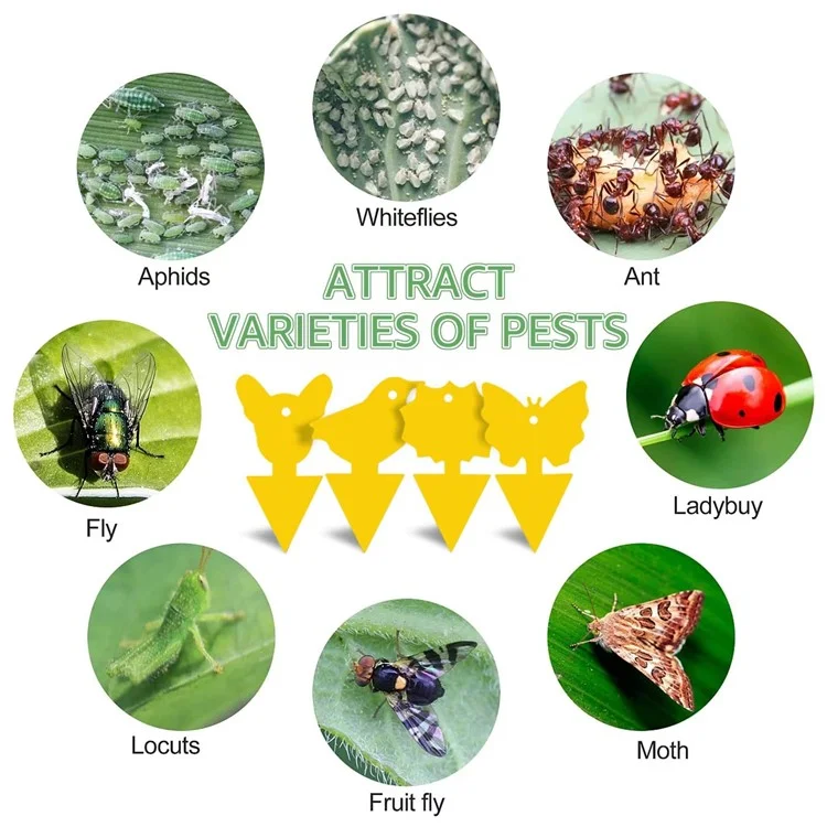 20Pcs Sticky Insect Trap Plant Pest Control Catcher Gardening Supplies Double-sided Yellow PP Sticky Board - Thick Butterfly