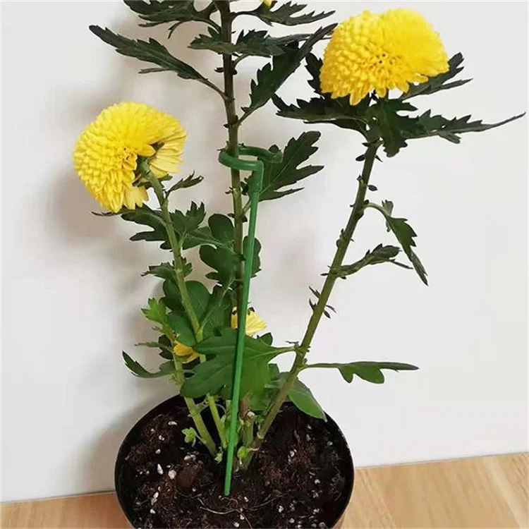 10 pcs 27 cm support de tige en fibre de verre pour plantes de jardin, support de tige unique pour orchidées, roses, tomates