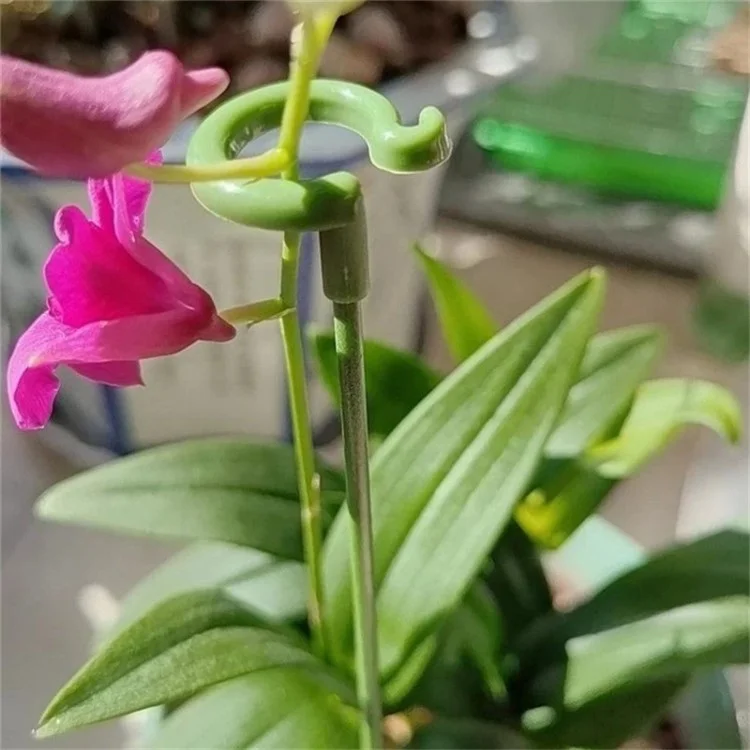 10 pièces 17 CM Cage de croissance des plantes Tige de fibres de verre Tuteur intérieur Orchidée Rose Tige unique Support 
