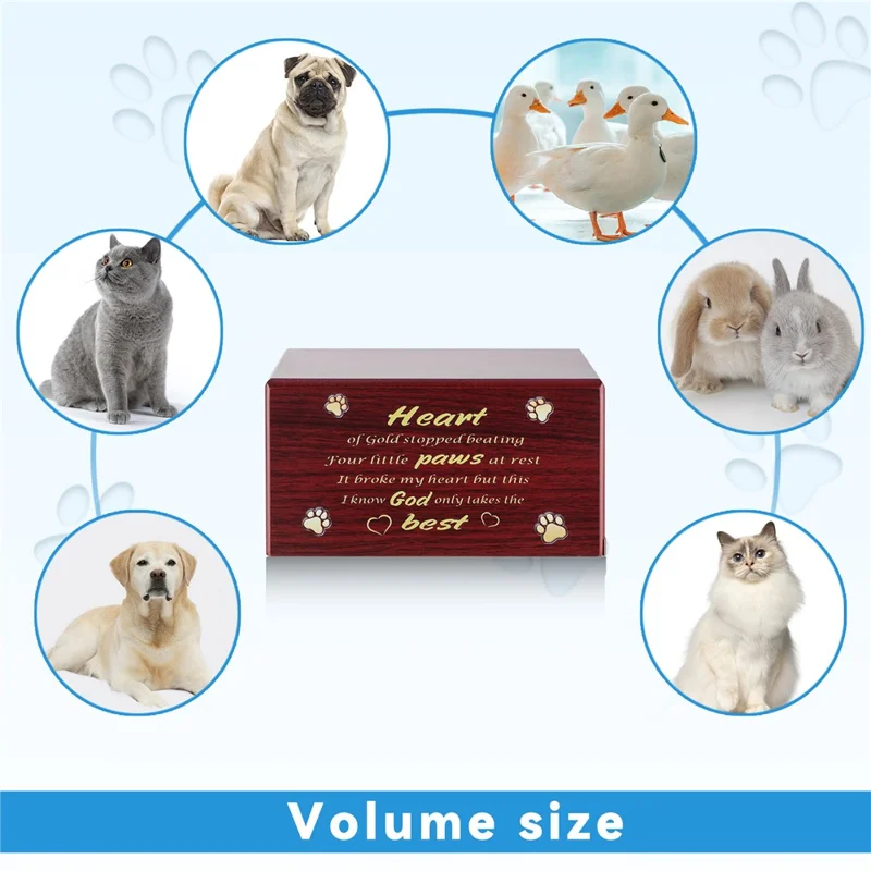 Paw Pattern Wooden Pet Cremation Ash Urn Storage Case Cat Dog Keepsake Memory Box