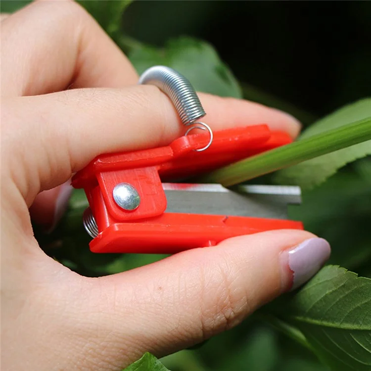 Couteau de jardinage en forme de pouce de 5,3 x 1,8 cm, coupe-tige de légumes, cueilleur de fruits à la main