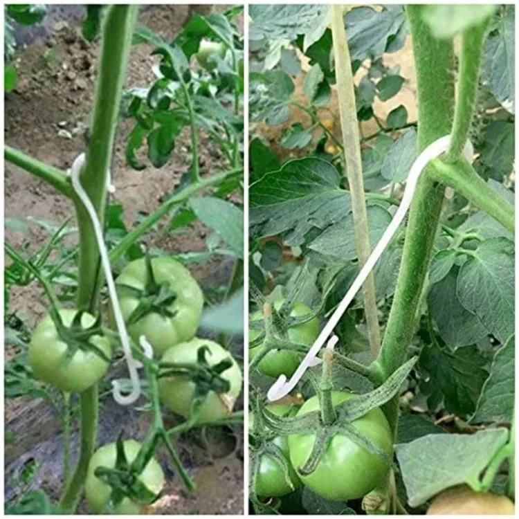 50 pezzi da 13 cm Supporto per piante da orto Garden Vegetable Vine J a forma di gancio Clip di fissaggio per frutti