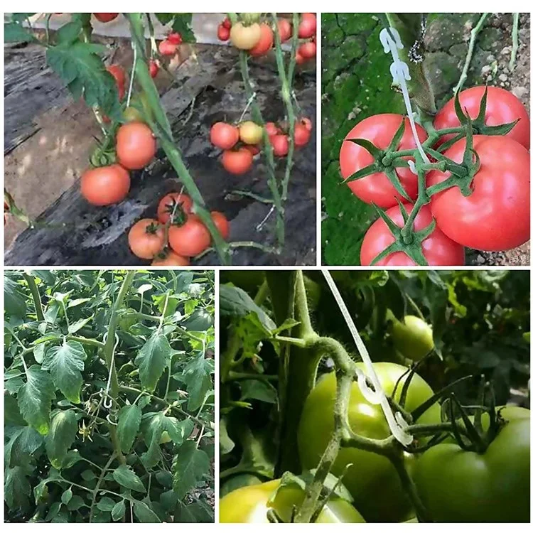50 pezzi da 13 cm Supporto per piante da orto Garden Vegetable Vine J a forma di gancio Clip di fissaggio per frutti
