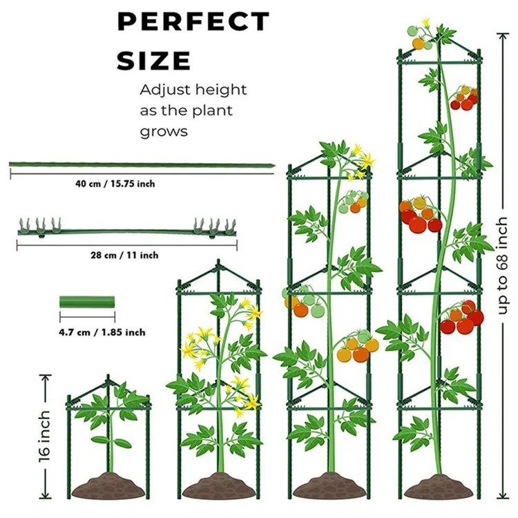 Ensemble de 3 piquets de soutien pour tomates de 11 mm, cages de support pour plantes grimpantes verticales