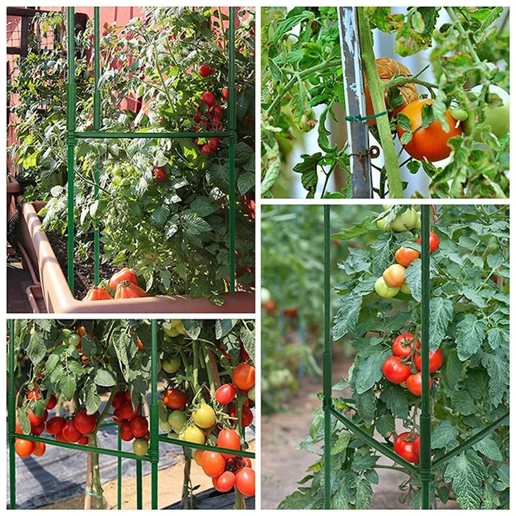3 pièces / Set 8 mm Cages de plantes de tomates Piquets de jardin Supports de treillis végétaux pour plantes grimpantes verticales