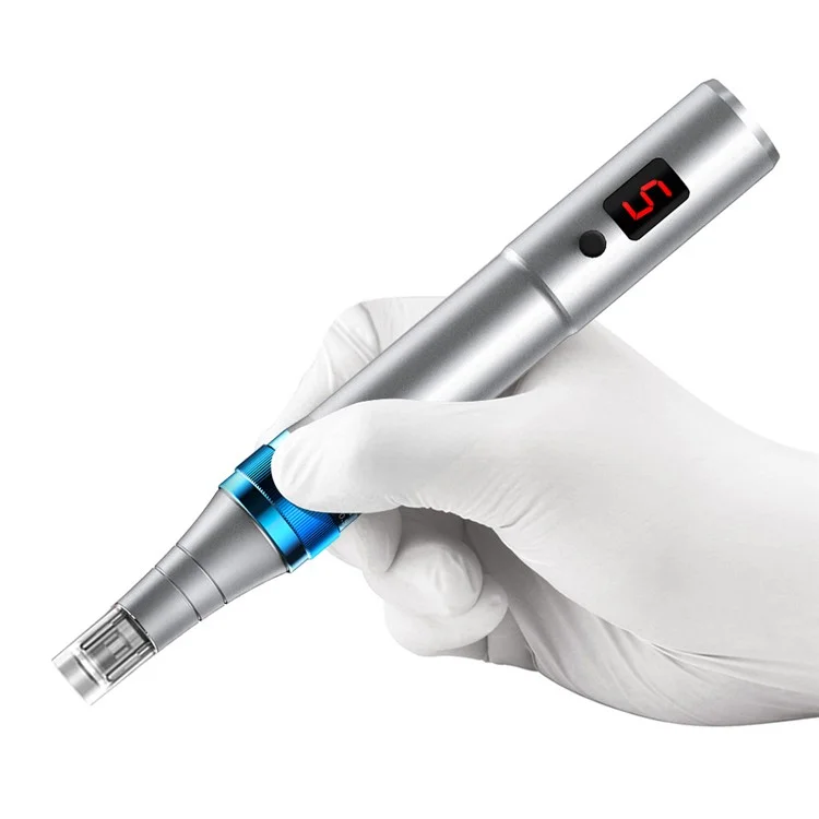 Appareil de beauté du visage Nano-Needle WZ-104-A4 pour la maison, Masseur facial électrique à essence, avec marquage CE - Argent