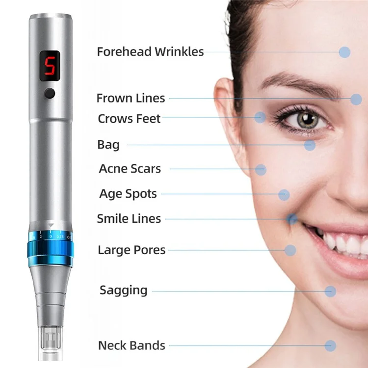 Appareil de beauté du visage Nano-Needle WZ-104-A4 pour la maison, Masseur facial électrique à essence, avec marquage CE - Argent