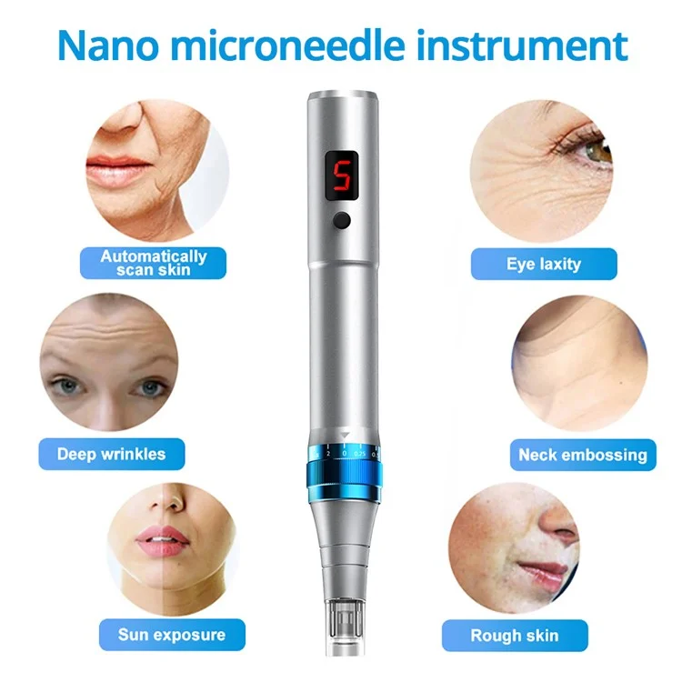 Appareil de beauté du visage Nano-Needle WZ-104-A4 pour la maison, Masseur facial électrique à essence, avec marquage CE - Argent
