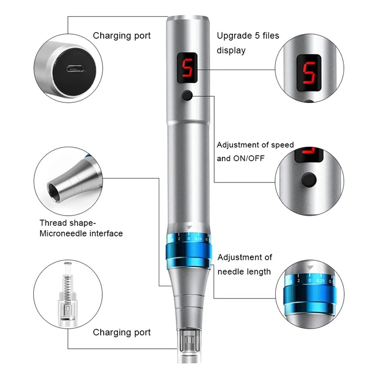 Appareil de beauté du visage Nano-Needle WZ-104-A4 pour la maison, Masseur facial électrique à essence, avec marquage CE - Argent