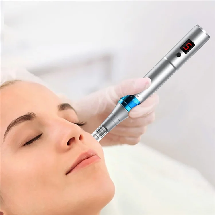 Appareil de beauté du visage Nano-Needle WZ-104-A4 pour la maison, Masseur facial électrique à essence, avec marquage CE - Argent
