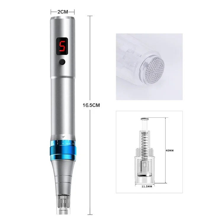 Appareil de beauté du visage Nano-Needle WZ-104-A4 pour la maison, Masseur facial électrique à essence, avec marquage CE - Argent