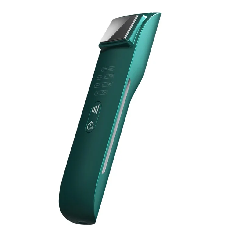 SM-2107 Hot Cold Face Massager Skin Tightening Anti-aging Radio Frequency Face Care Tool - Blackish Green