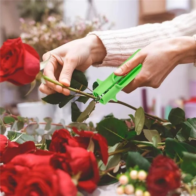 Outil portable de déssouchage des épines de rose pour jardinage et composition florale - Vert