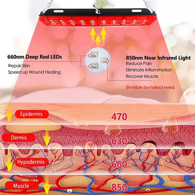 Einzelkopf-Infrarot-Physiotherapie-90-LED-Rotlichttherapie-Lampe mit verstellbarem Dreibeinstativ (EU-Stecker)