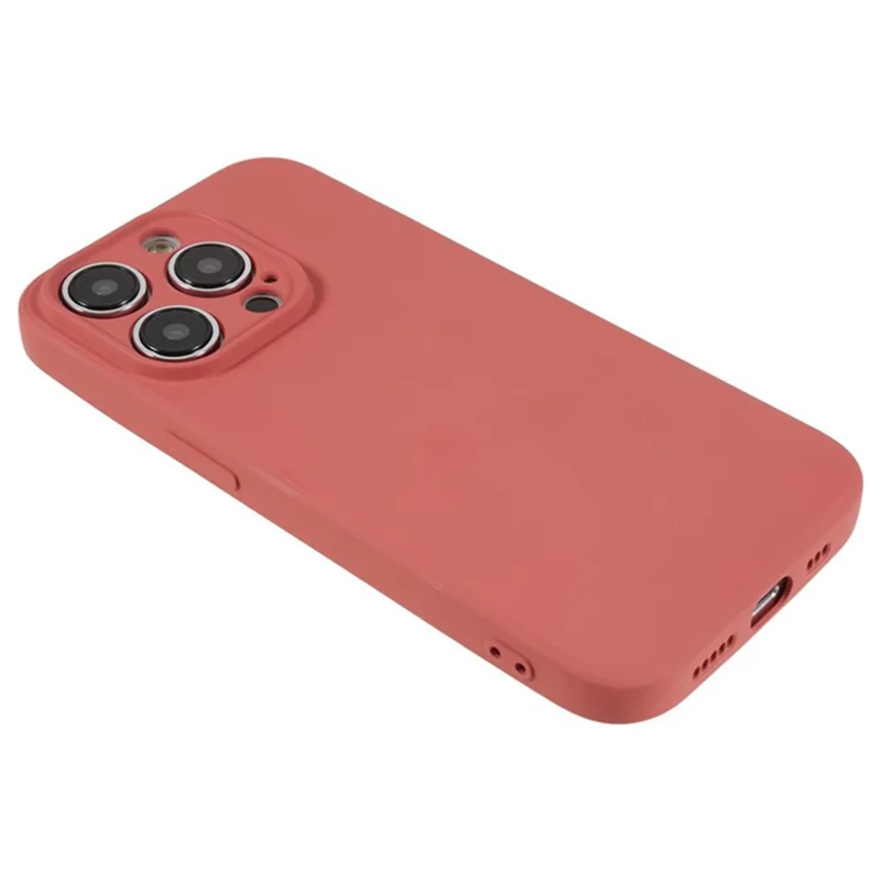 WANLONFENG RB1 Series For iPhone 14 Pro Slim Case Soft TPU Phone Case with Screen Film, Lanyard - Hawthorn Red