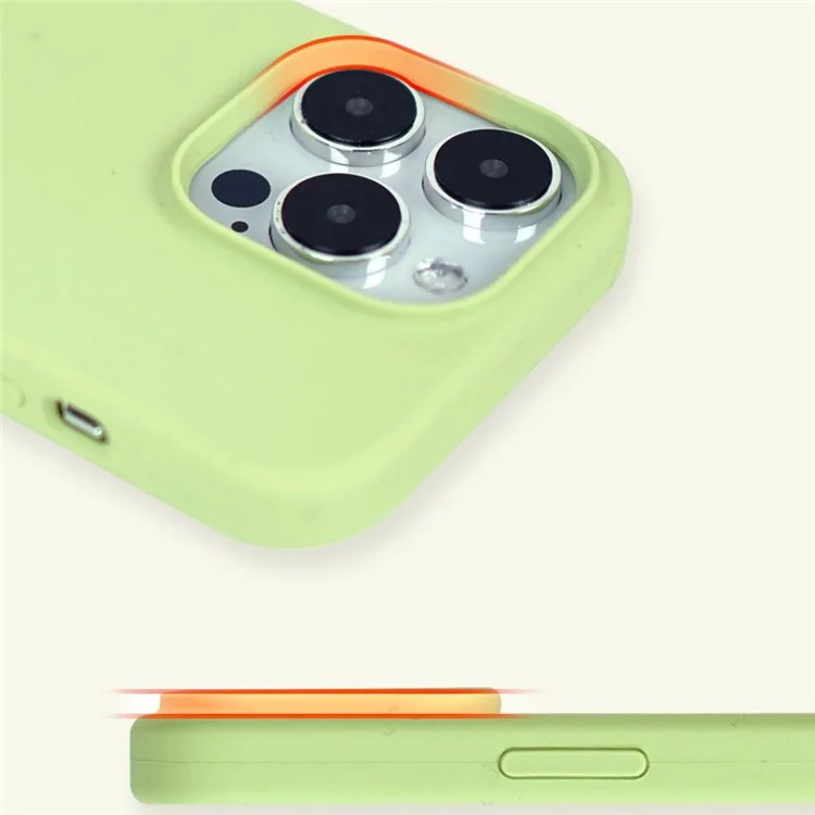 Coque en silicone Morandi pour iPhone 13 Pro - Vert clair