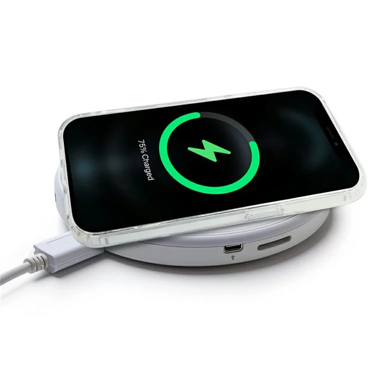 SIMPLY ROAR Custodia trasparente in PC + TPU compatibile con MagSafe per iPhone 13 Pro - Nero