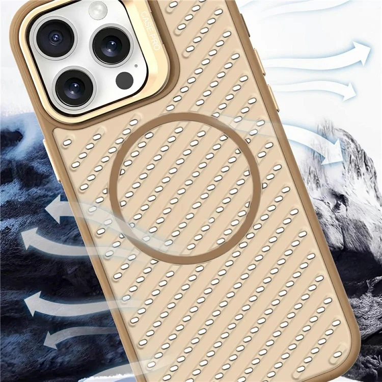 For iPhone 16 Pro Magnetic Case PC TPU Back Cover Hollow Design with Lens Kickstand - Grey
