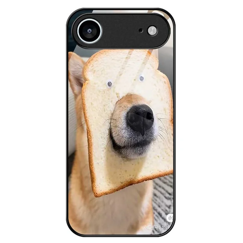 For iPhone Air Case PC TPU Tempered Glass Pattern Printing Phone Back Cover - B0120