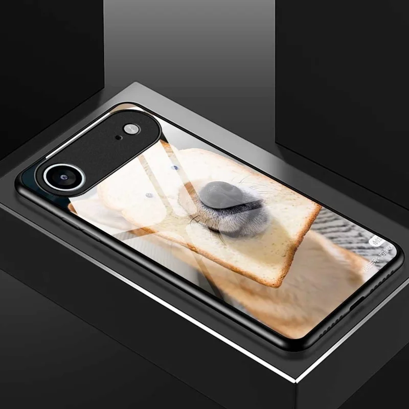For iPhone Air Case PC TPU Tempered Glass Pattern Printing Phone Back Cover - B0120