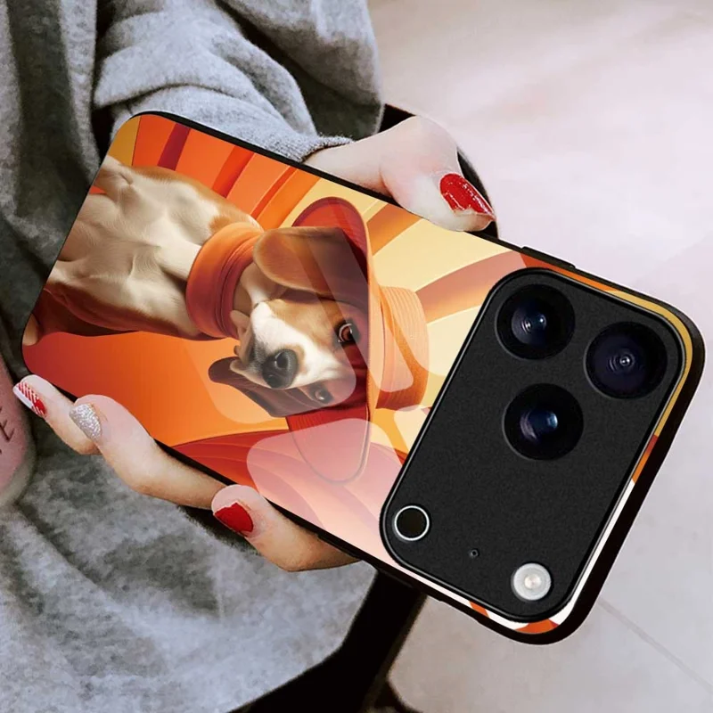 For iPhone 17 Pro Case Anti Drop PC TPU Tempered Glass Pattern Printing Phone Back Cover - B0168
