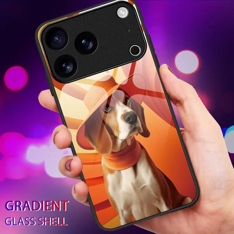 For iPhone 17 Pro Max Case Anti Drop PC TPU Tempered Glass Pattern Printing Phone Back Cover - B0168