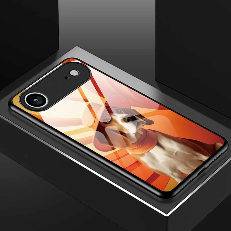 For iPhone Air Case Anti Drop PC TPU Tempered Glass Pattern Printing Phone Back Cover - B0168