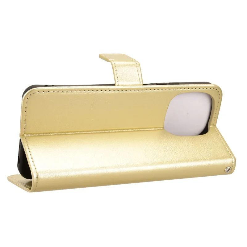 Blackview Color 6 PU-Lederhülle mit Riemen, Crazy Horse Textur, Handyhülle mit Geldbörse - Gold