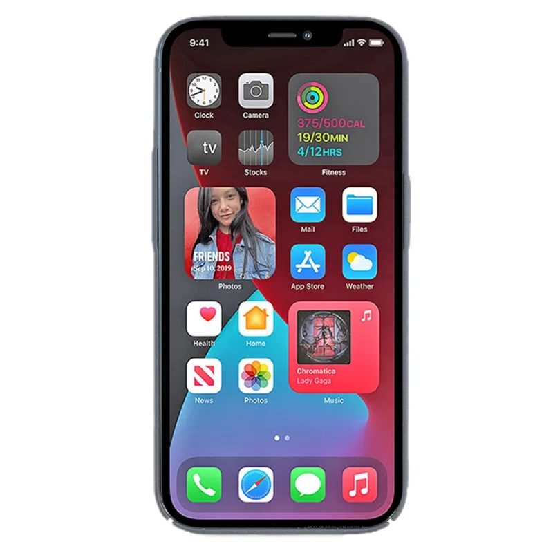 Mobile Phone Case for iPhone 12 Pro Max 6.7 inch , Anti-Dust Matte Texture Hard PC Phone Cover - Dark Grey