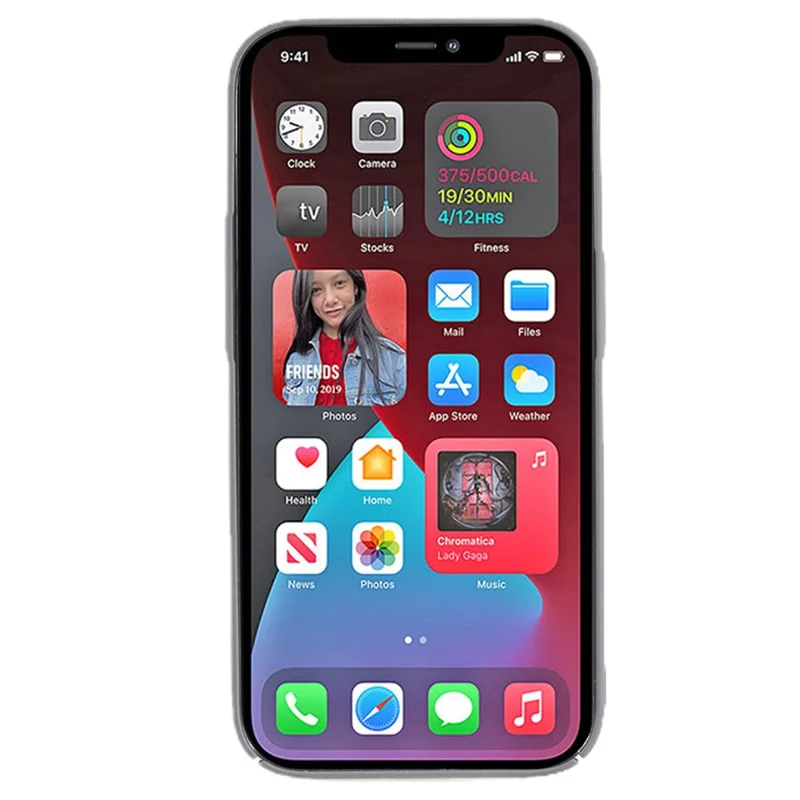 For iPhone 12 Pro 6.1 inch Phone Shell Matte Texture Anti-scratch Hard PC Phone Case - Grey