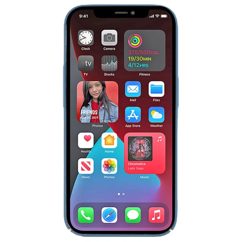 For iPhone 12 Pro 6.1 inch Phone Shell Matte Texture Anti-scratch Hard PC Phone Case - Blue