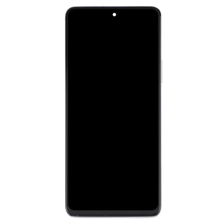 Для Huawei nova 9 SE OEM Grade S ЖК-экран и сборка дигитайзера + Запасная часть рамки (без логотипа) - Серебристый