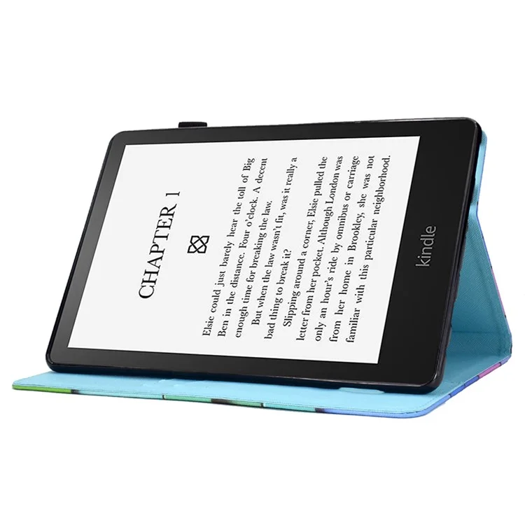 For Amazon Kindle Paperwhite 5 (2021) Case Stylish Pattern Leather Wallet E-reader Cover - Owl
