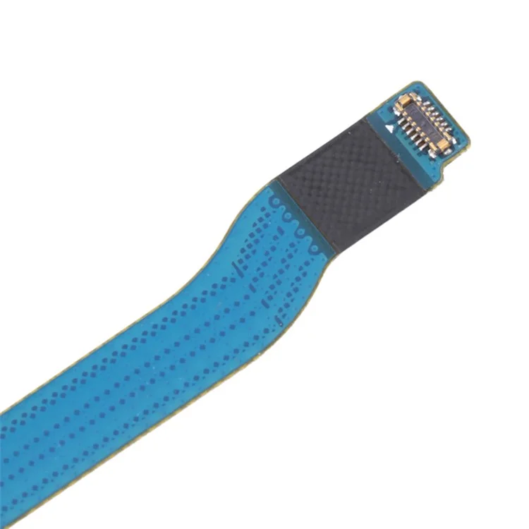 Pour Samsung Galaxy S10 5G (États-Unis) G977 OEM Signal Antenna Flex Cable Pièce de rechange (sans logo)