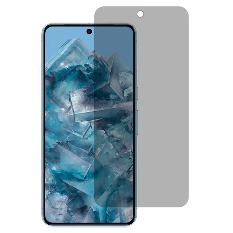 Para Google Pixel 9 / 9 Pro Anti-Spy Full Screen Protector Tempered Glass Film