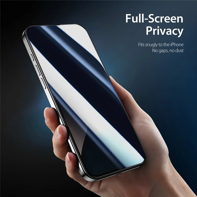 DUX DUCIS For iPhone 16 Anti Spy Full Screen Protector 2.5D Flat Screen Full Glue High Aluminium-silicon Glass Film