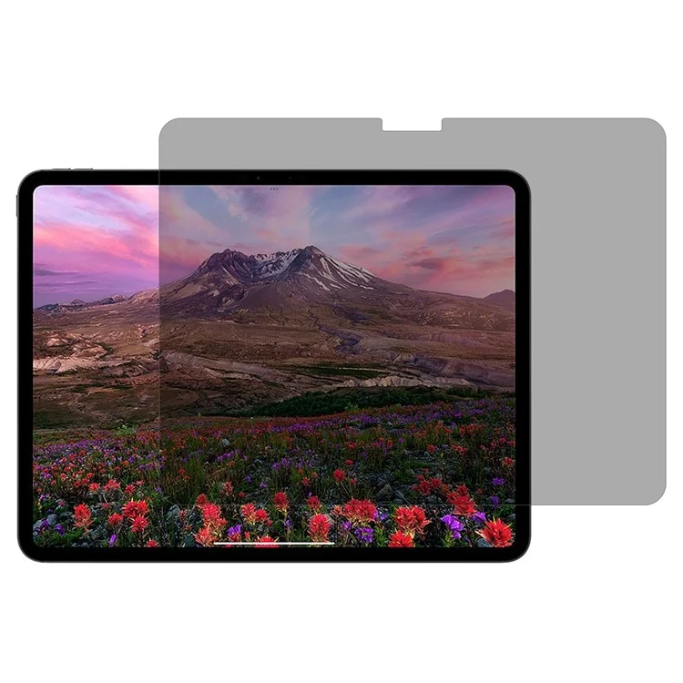 Para Ipad Pro 11 (2024) Protetor de Tela Anti-peep High Aluminium-Silicon Glass Tablet Film