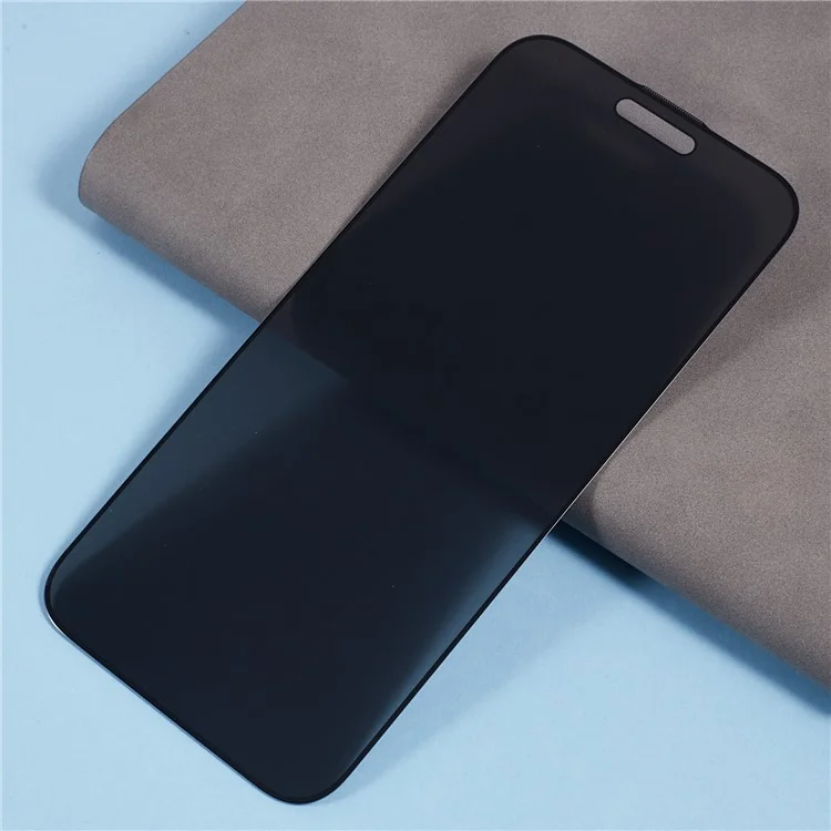 Для Iphone 16 Antipy Screen Protector Full Glue Silk Print Black Edge Tremed Glass Plam с Анти-пыльной Сеткой