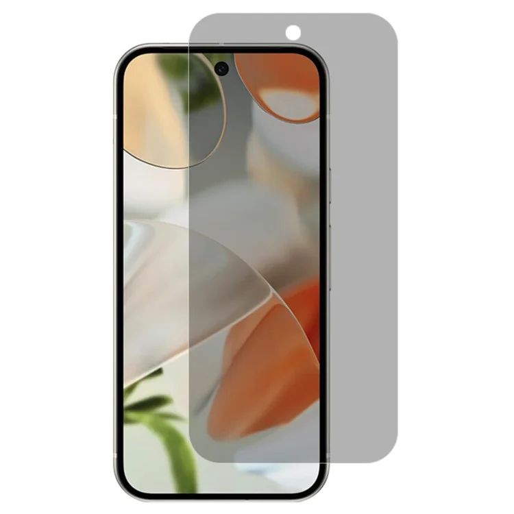 RURIHAI For Google Pixel 9 Anti-Spy AGC Glass Screen Protector (Phone Case Version) (Fingerprint Unlock)