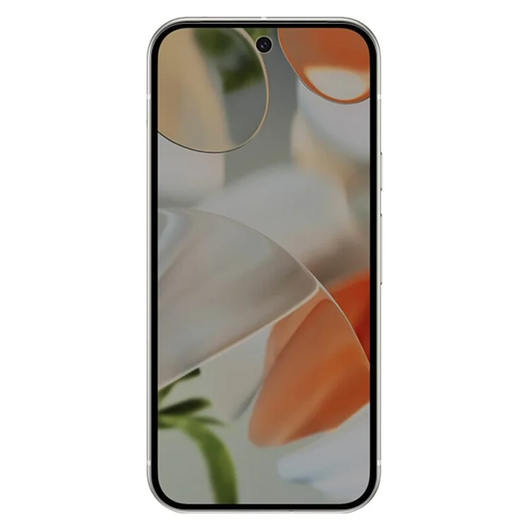 RURIHAI For Google Pixel 9 Anti-Spy AGC Glass Screen Protector (Phone Case Version) (Fingerprint Unlock)